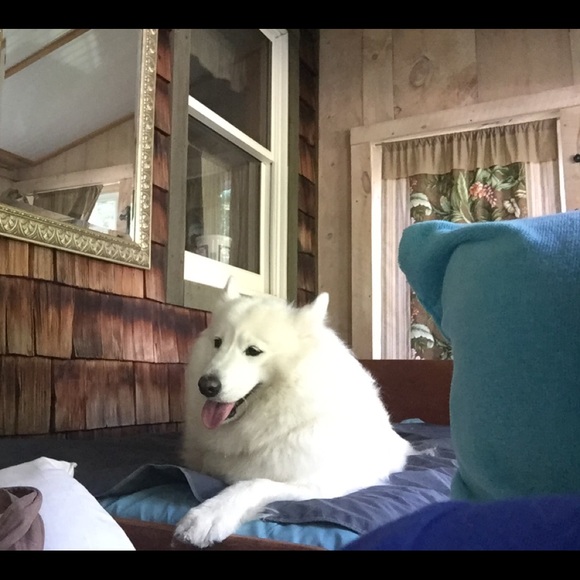 Patti Posh Ambassador 👠👗👚📦✈️🚐😊 💰5⭐️⭐️⭐️⭐️⭐️ - Picture 5 of 8